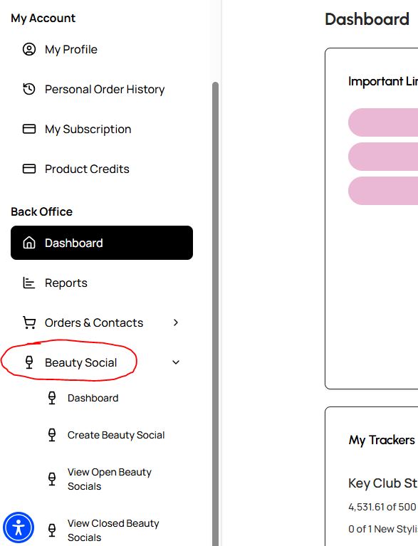 BS_Dashboard_Capture.JPG